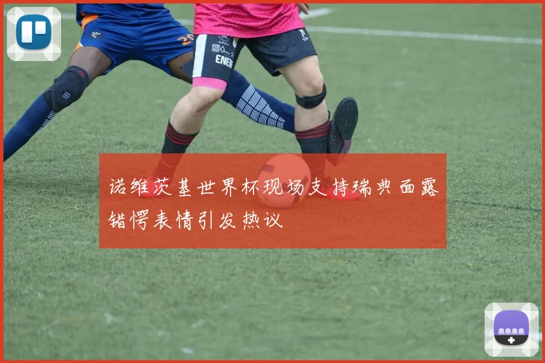 诺维茨基世界杯现场支持瑞典面露错愕表情引发热议