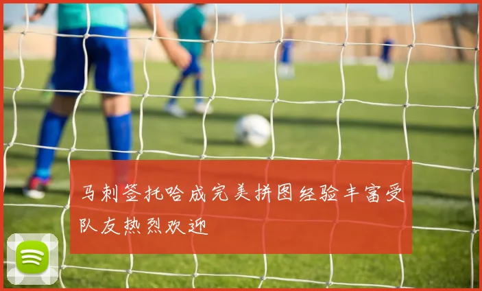 马刺签托哈成完美拼图经验丰富受队友热烈欢迎
